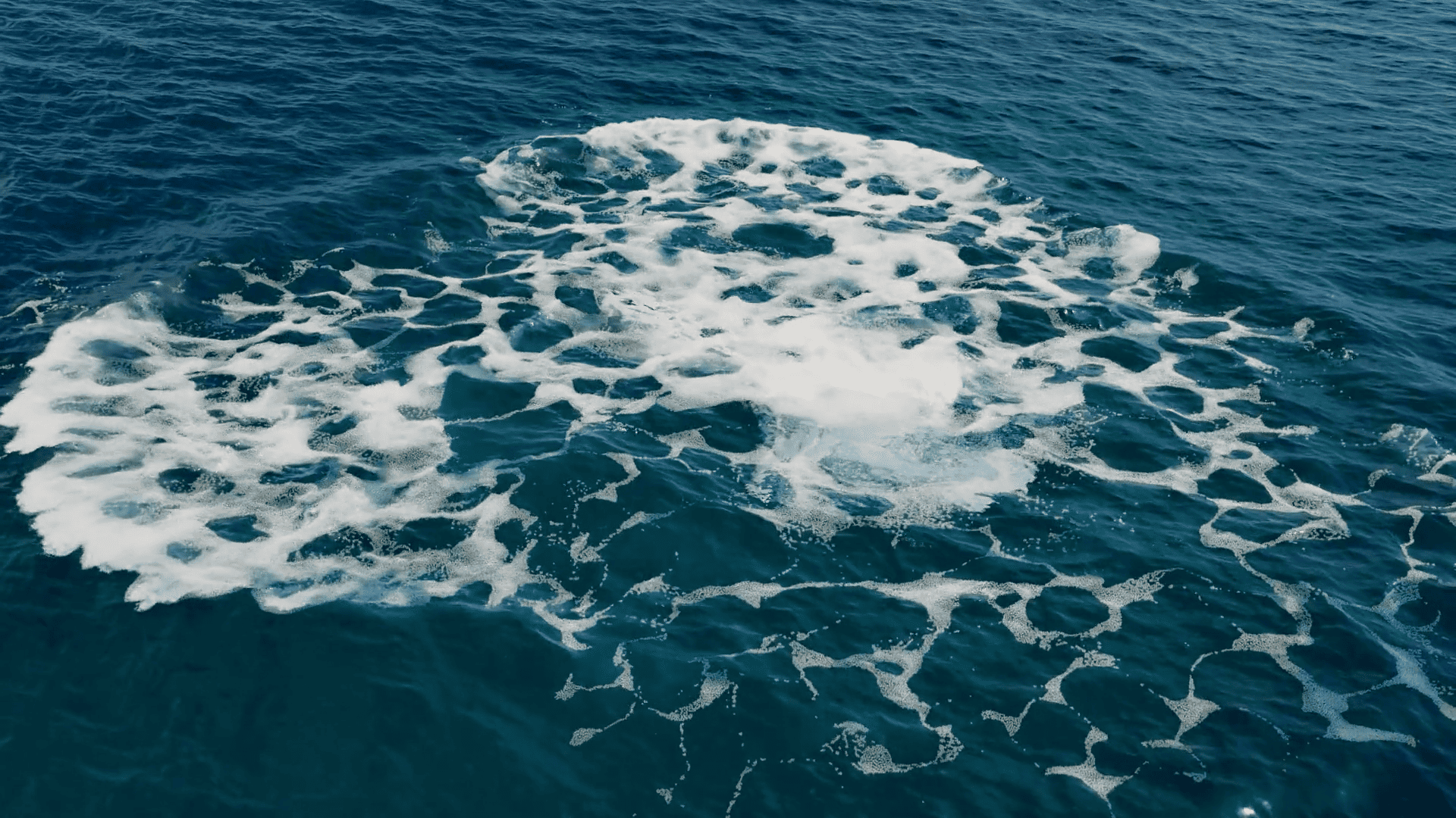 3D Scene by Moritz Bennet Pahrmann